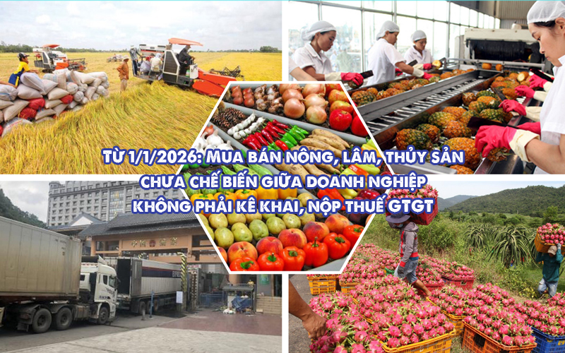 Từ 1/1/2026: Mua bán nông, lâm, thủy sản chưa chế biến giữa doanh nghiệp không phải kê khai, nộp thuế GTGT